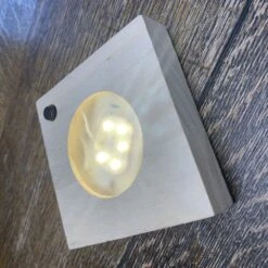 Hydroponic Clusia Rosea 'Princess' (PBR) And LED Light 9 Hydroponic Clusia Rosea 'Princess' (PBR) And LED Light -Pure Botanica pl2000035890 card5 lg