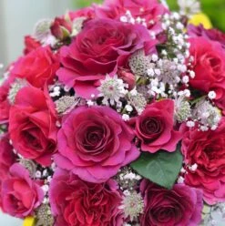 Rosa Timeless Purple ('Noa38121') (PBR) -Pure Botanica pl2000036975 card3 lg