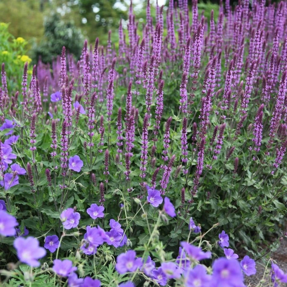 Circles & Spires Collection 1 Circles & Spires Collection